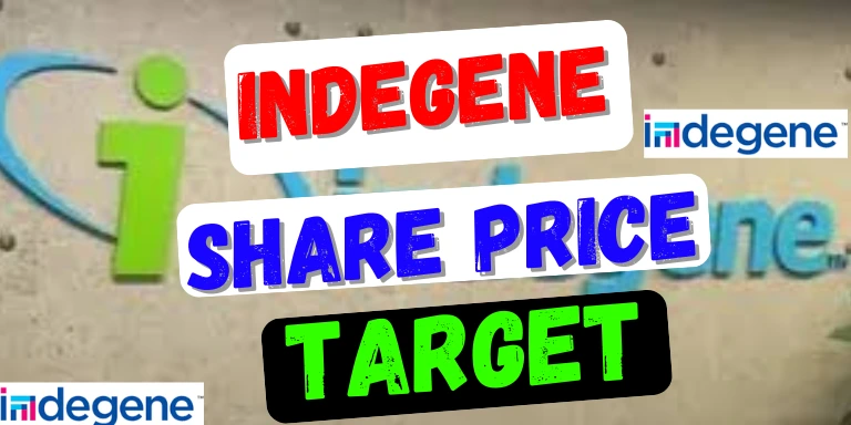 Indegene Share Price Target 2024, 2025, 2026 2027, 2028, 2029, 2030, 2035, 2040, 2050